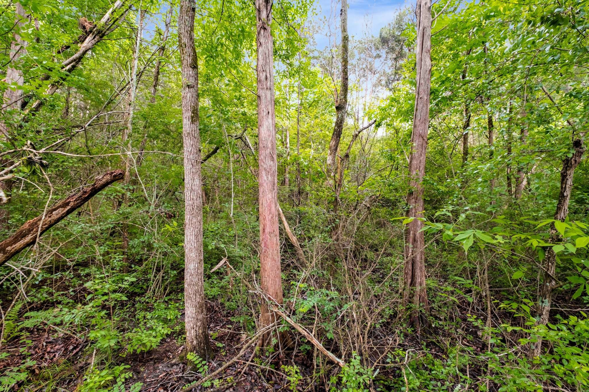 0 Canterbury Trail Mount Juliet TN 37122