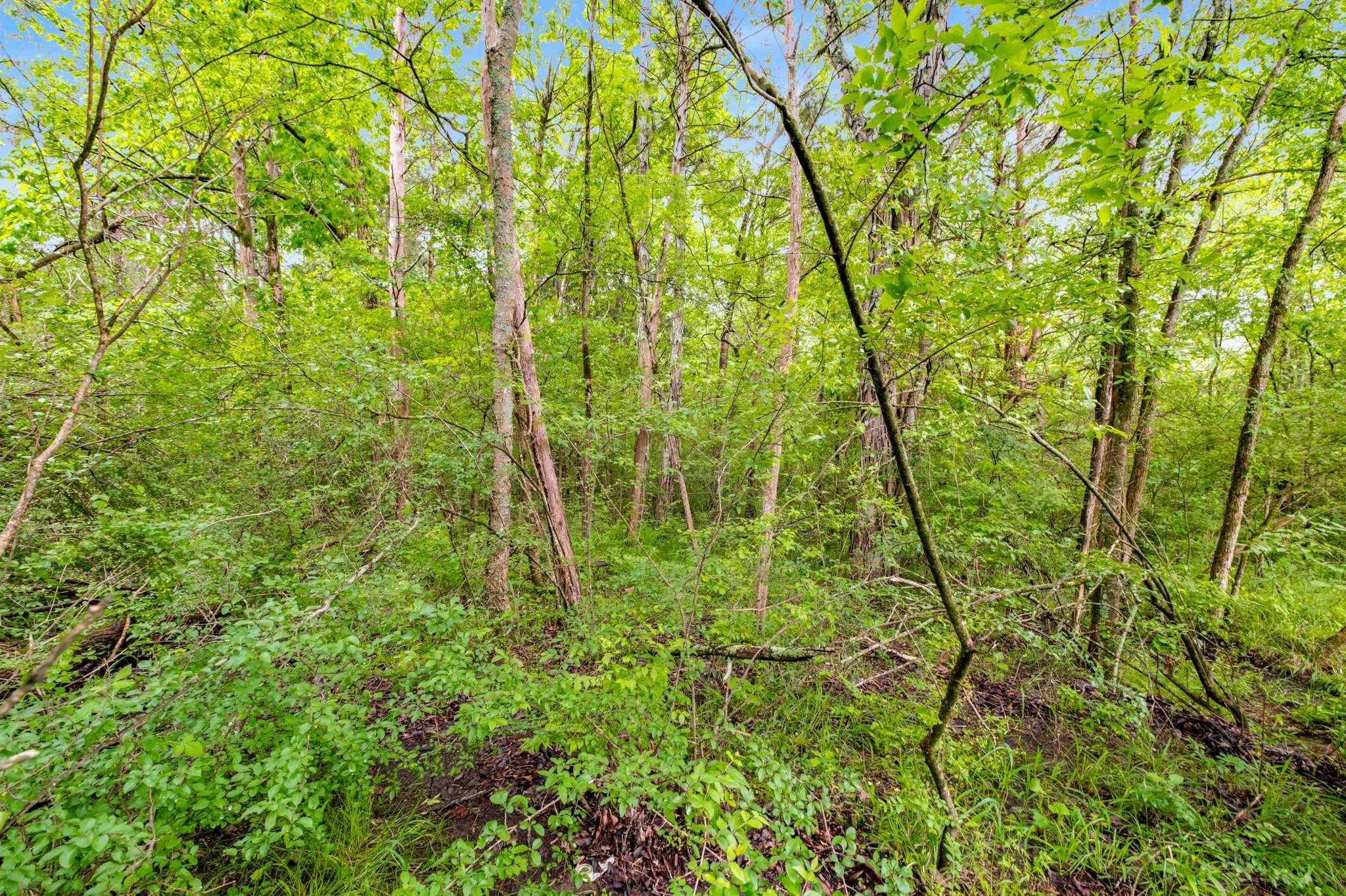 0 Canterbury Trail Mount Juliet TN 37122