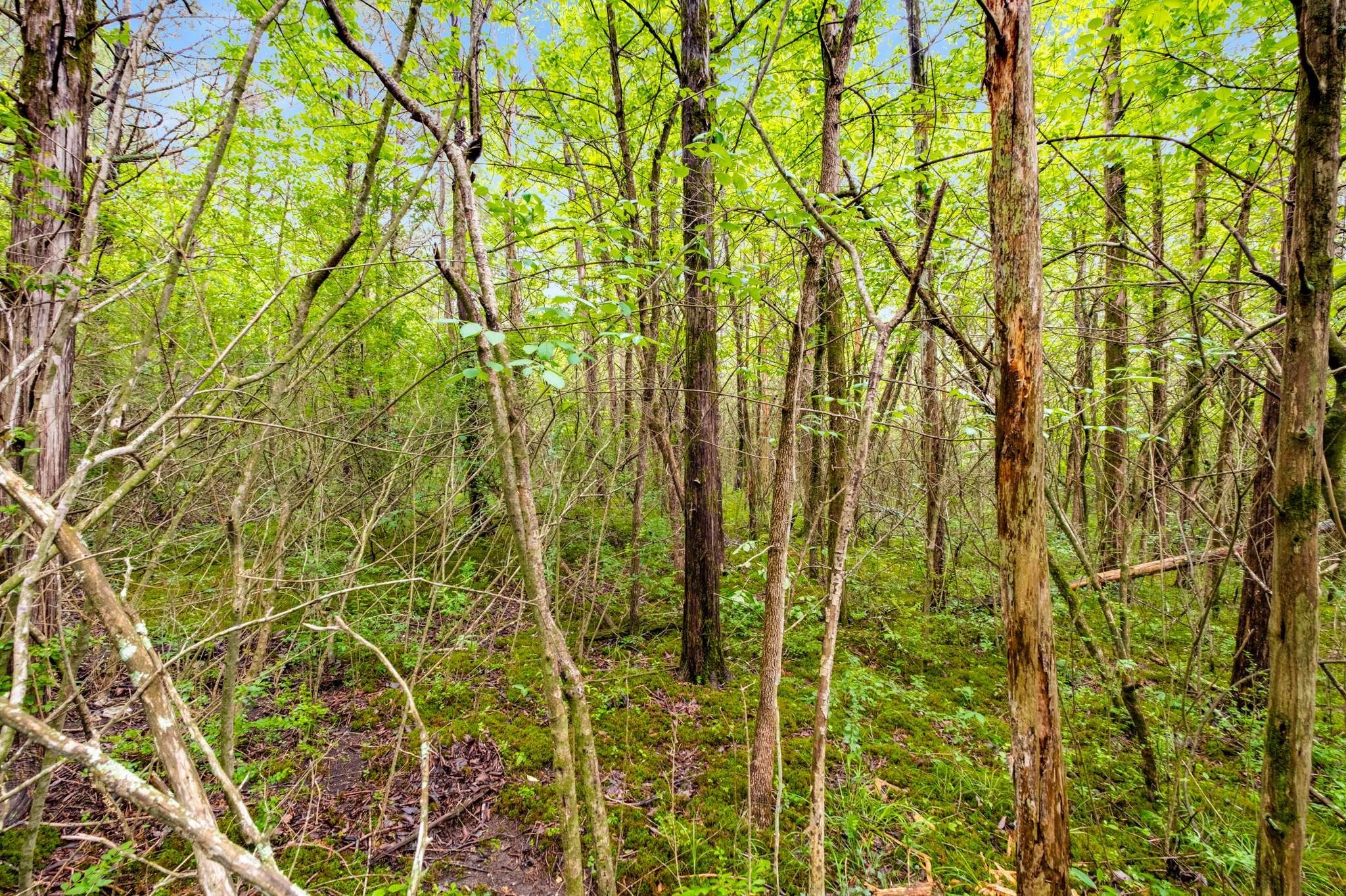 0 Canterbury Trail Mount Juliet TN 37122