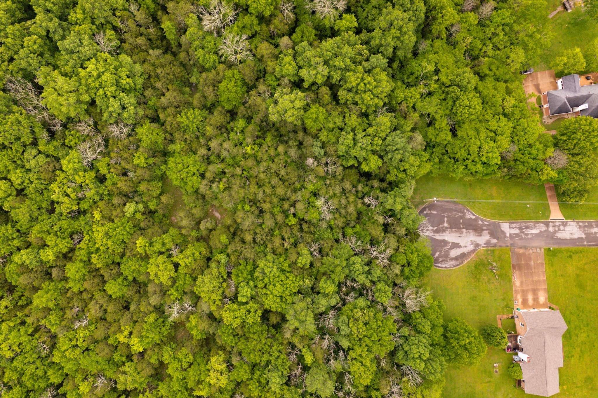 0 Canterbury Trail Mount Juliet TN 37122