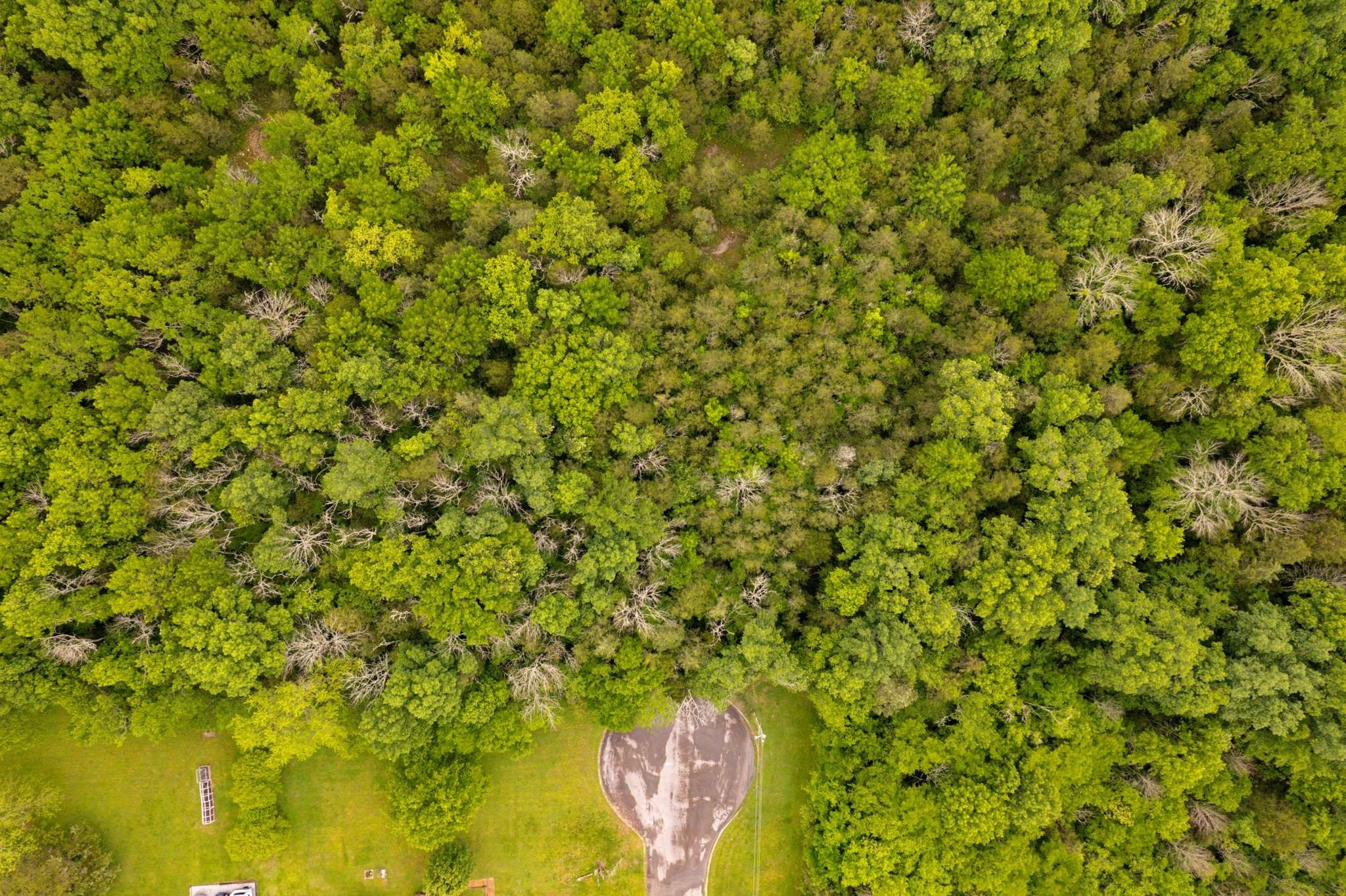 0 Canterbury Trail Mount Juliet TN 37122