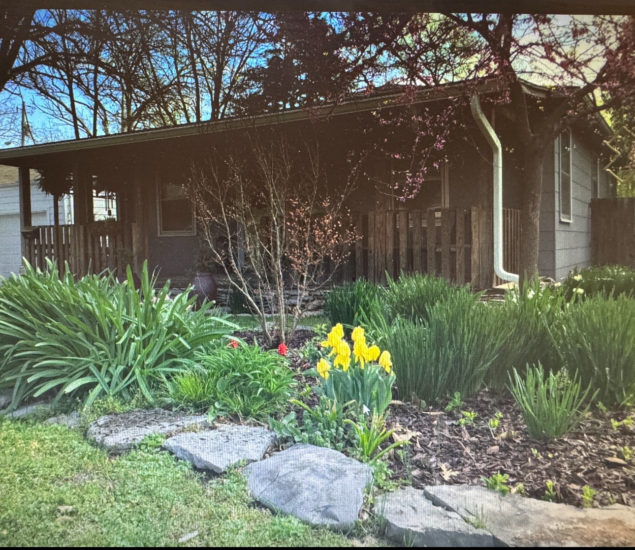 401 Cleveland Avenue Lebanon TN 37087