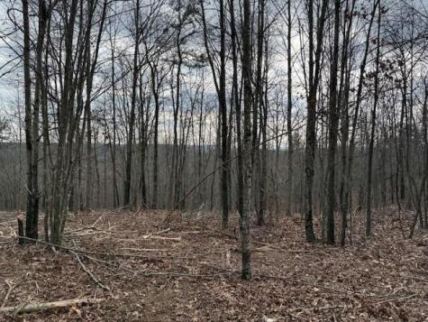 11 South Pittsburg Mountain Road South Pittsburg TN 37380