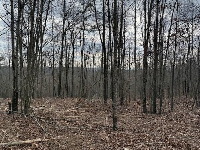 11 South Pittsburg Mountain Road South Pittsburg TN 37380
