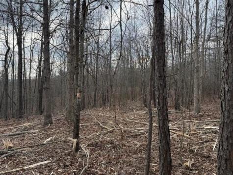 11 South Pittsburg Mountain Road South Pittsburg TN 37380