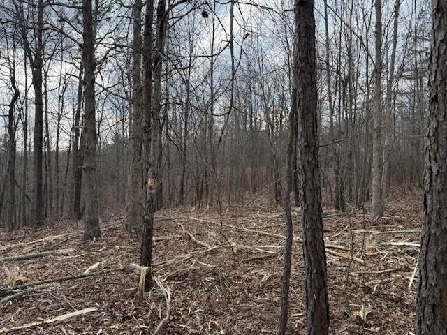 11 South Pittsburg Mountain Road South Pittsburg TN 37380