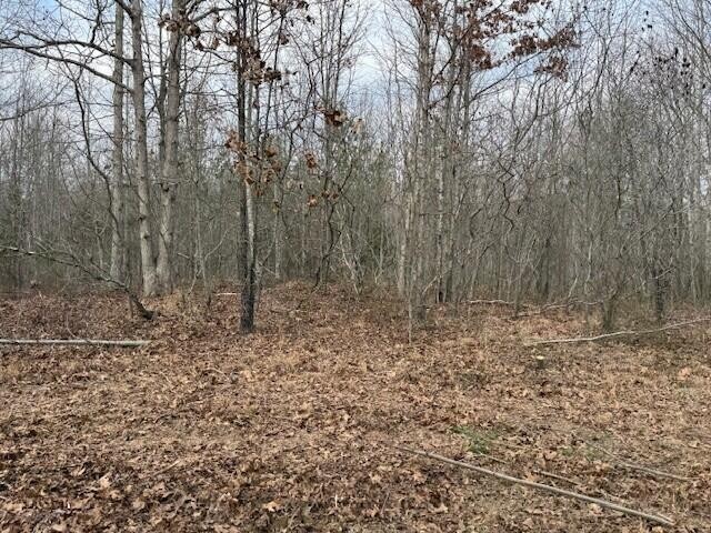 11 South Pittsburg Mountain Road South Pittsburg TN 37380