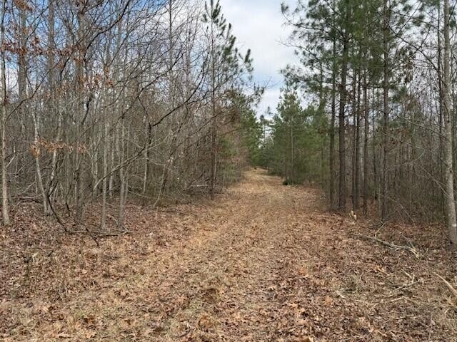 11 South Pittsburg Mountain Road South Pittsburg TN 37380