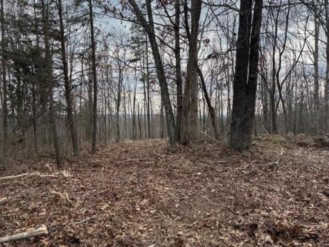 11 South Pittsburg Mountain Road South Pittsburg TN 37380