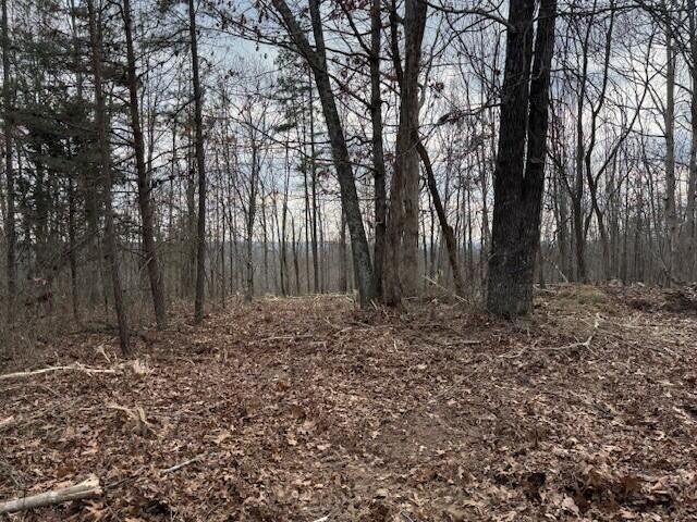 11 South Pittsburg Mountain Road South Pittsburg TN 37380
