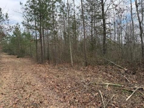 11 South Pittsburg Mountain Road South Pittsburg TN 37380