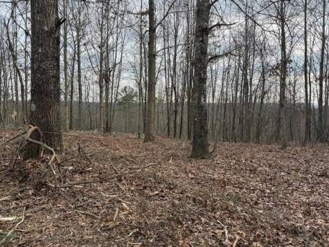 11 South Pittsburg Mountain Road South Pittsburg TN 37380