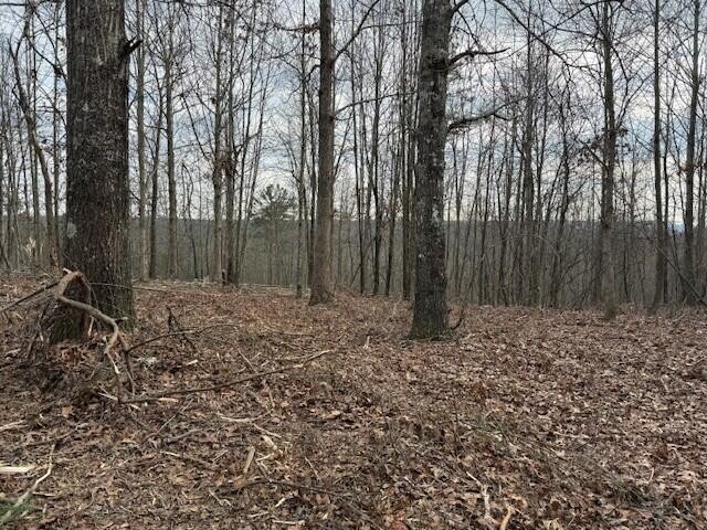 11 South Pittsburg Mountain Road South Pittsburg TN 37380