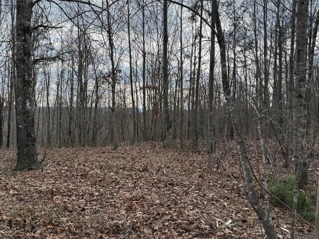 11 South Pittsburg Mountain Road South Pittsburg TN 37380