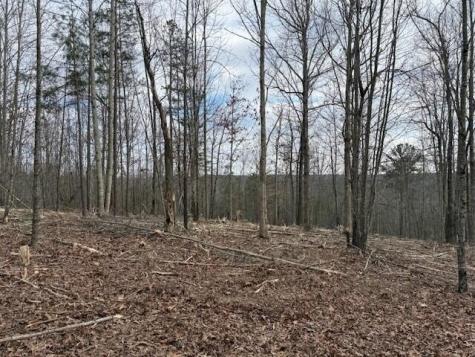 11 South Pittsburg Mountain Road South Pittsburg TN 37380