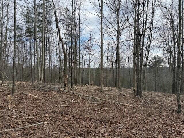 11 South Pittsburg Mountain Road South Pittsburg TN 37380