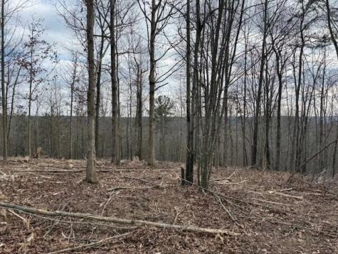 11 South Pittsburg Mountain Road South Pittsburg TN 37380