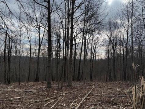 11 South Pittsburg Mountain Road South Pittsburg TN 37380