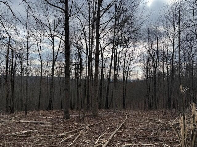 11 South Pittsburg Mountain Road South Pittsburg TN 37380