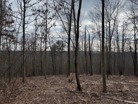 11 South Pittsburg Mountain Road South Pittsburg TN 37380