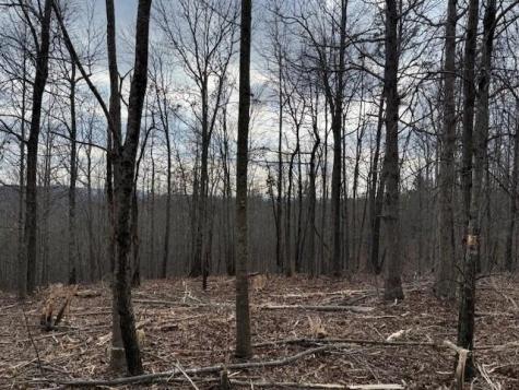 11 South Pittsburg Mountain Road South Pittsburg TN 37380