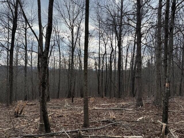 11 South Pittsburg Mountain Road South Pittsburg TN 37380