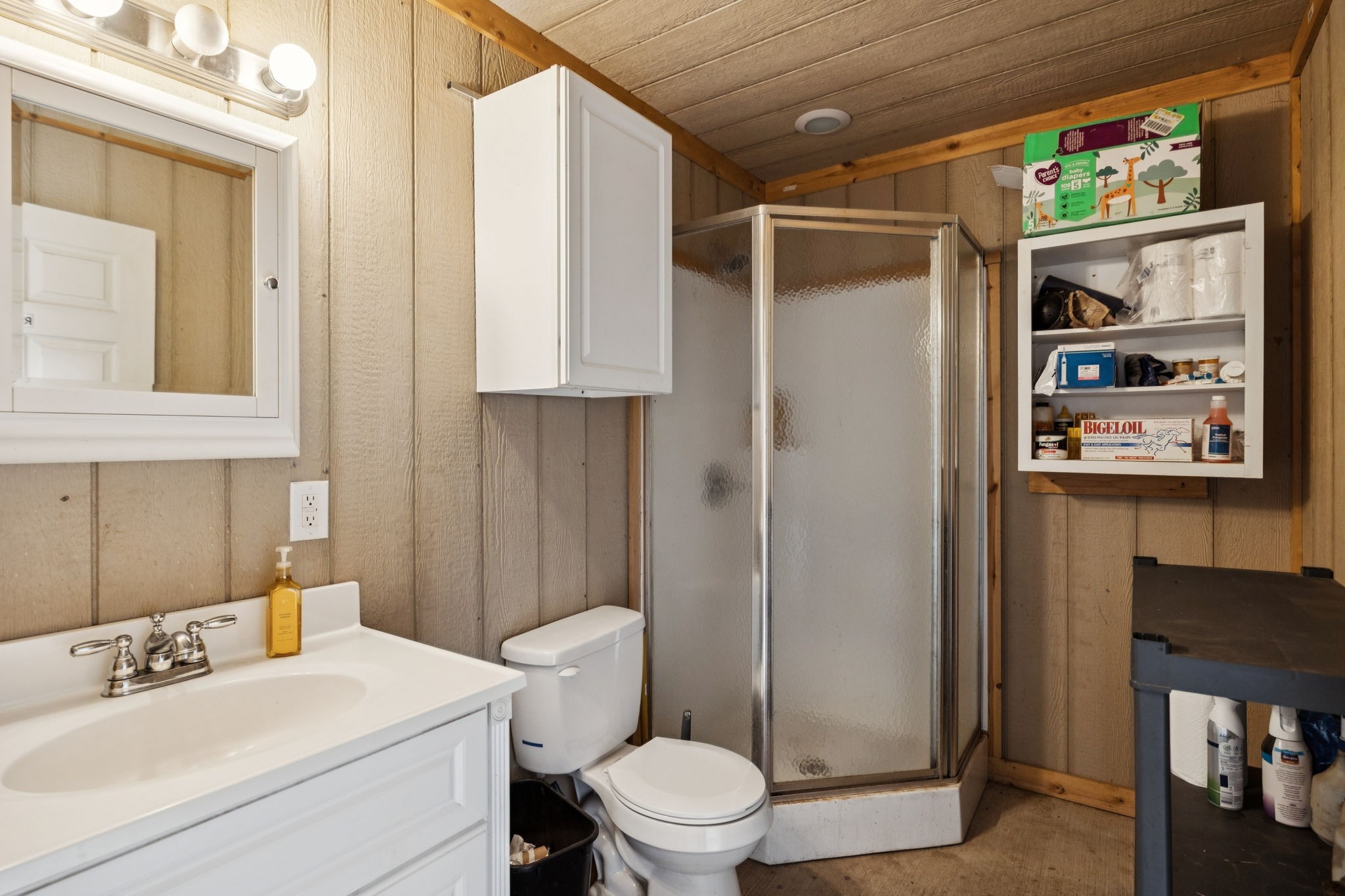 4376 Trousdale Lane Columbia TN 38401