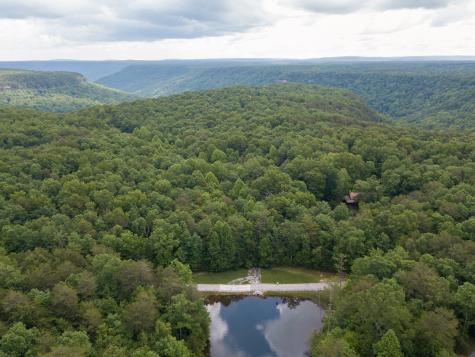 0 N Rim Drive Coalmont TN 37313