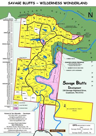 0 N Rim Drive Coalmont TN 37313