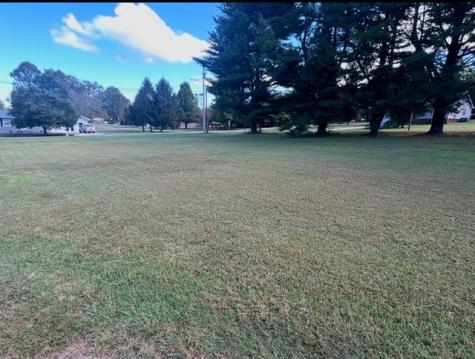 203 Hill Street Estill Springs TN 37330