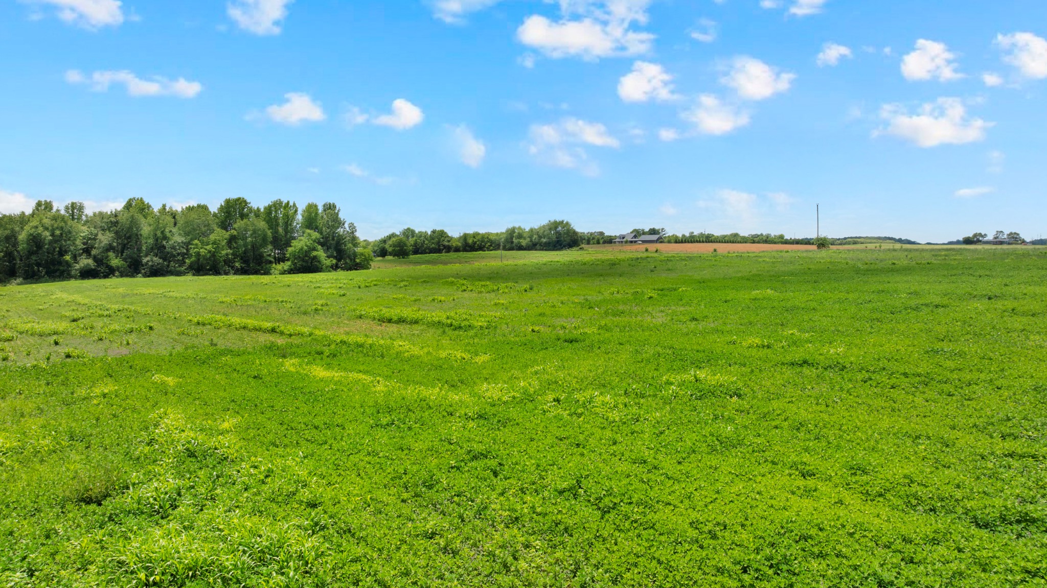 235 Breezy Knoll Lane Morrison TN 37357