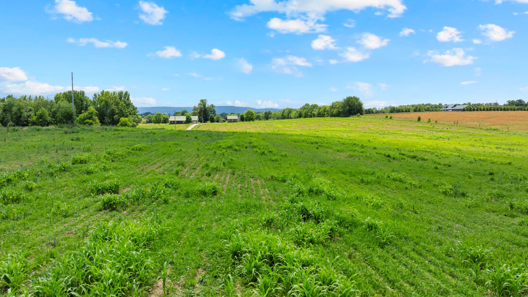 235 Breezy Knoll Lane Morrison TN 37357