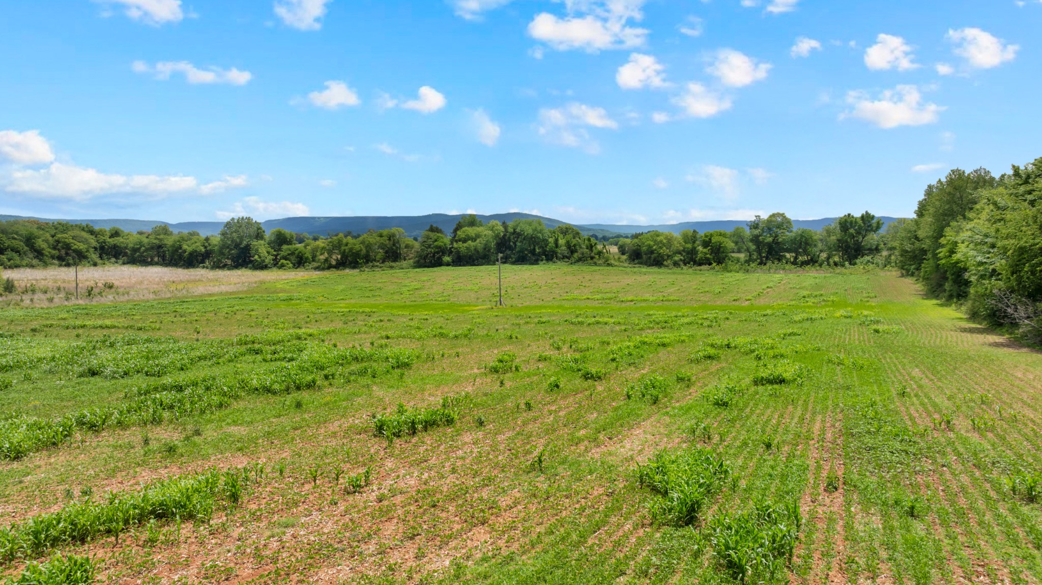 235 Breezy Knoll Lane Morrison TN 37357
