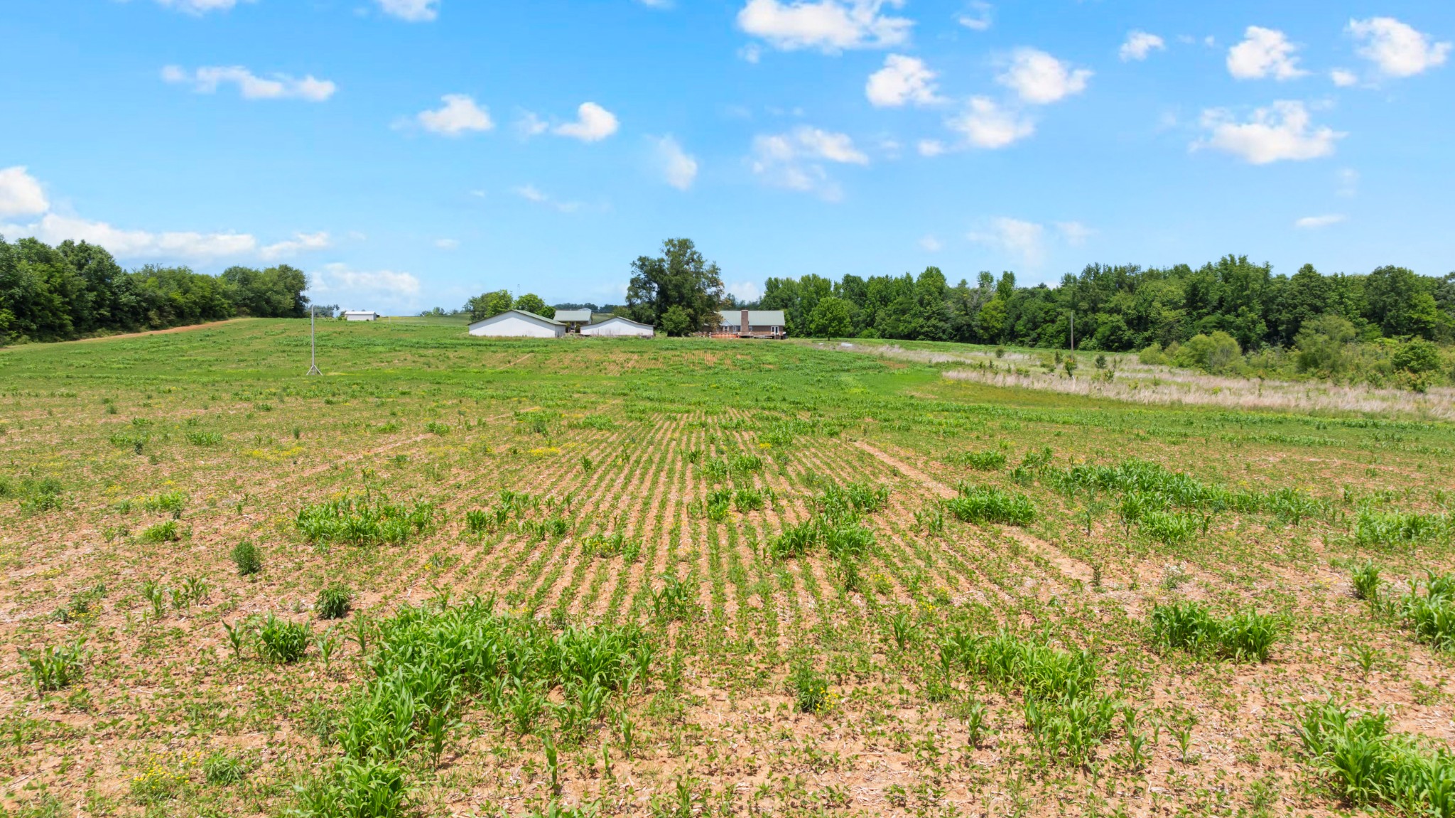 235 Breezy Knoll Lane Morrison TN 37357