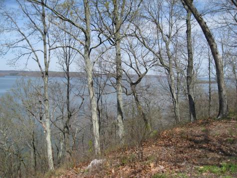 0 Sunset Ridge Waverly TN 37185