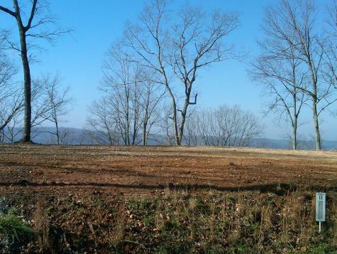 0 Sunset Ridge Waverly TN 37185