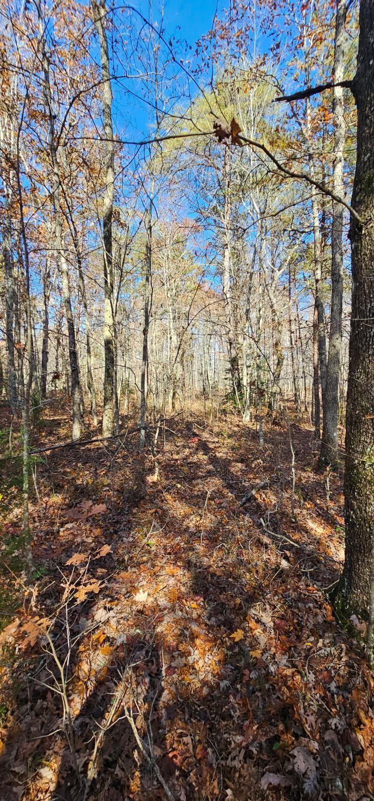 0 Woods Road Dunlap TN 37327
