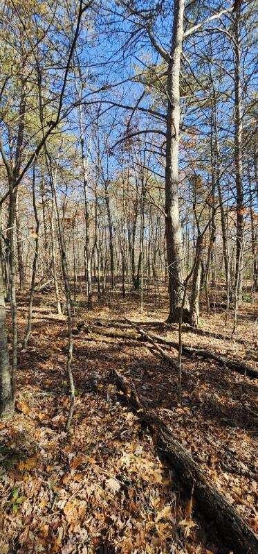 0 Woods Road Dunlap TN 37327