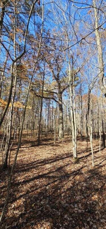 0 Woods Road Dunlap TN 37327