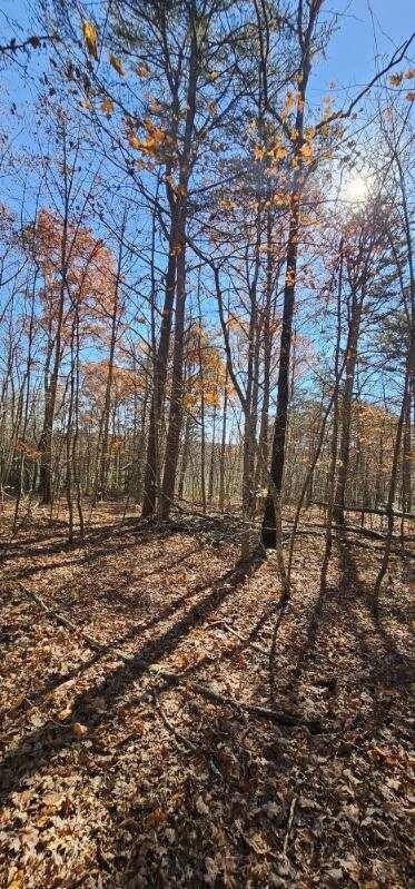 0 Woods Road Dunlap TN 37327
