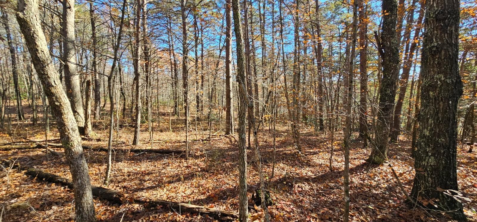 0 Woods Road Dunlap TN 37327
