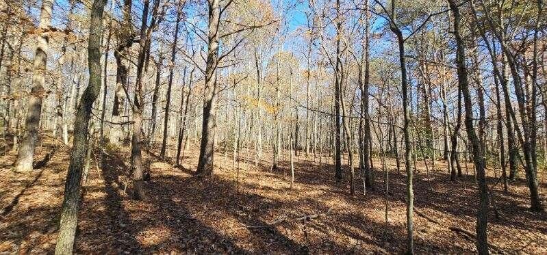 0 Woods Road Dunlap TN 37327