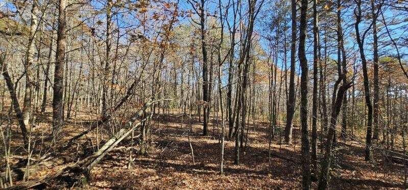 0 Woods Road Dunlap TN 37327