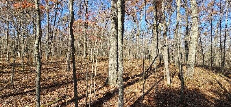 0 Woods Road Dunlap TN 37327