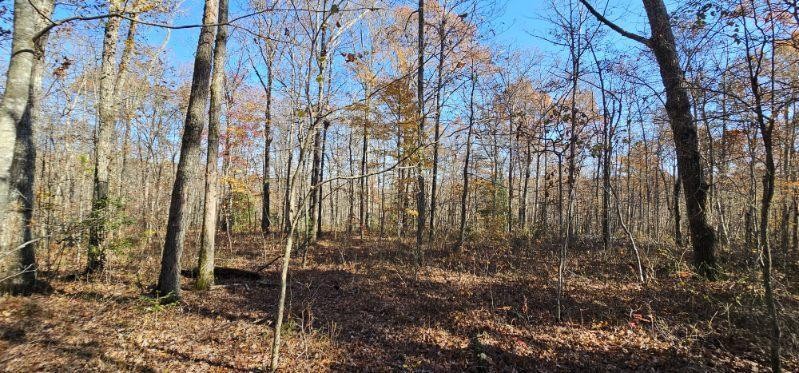 0 Woods Road Dunlap TN 37327
