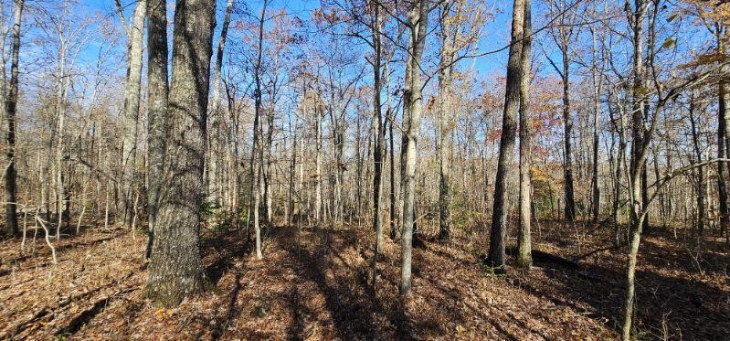 0 Woods Road Dunlap TN 37327