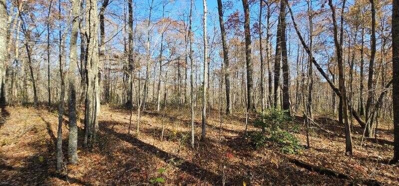 0 Woods Road Dunlap TN 37327