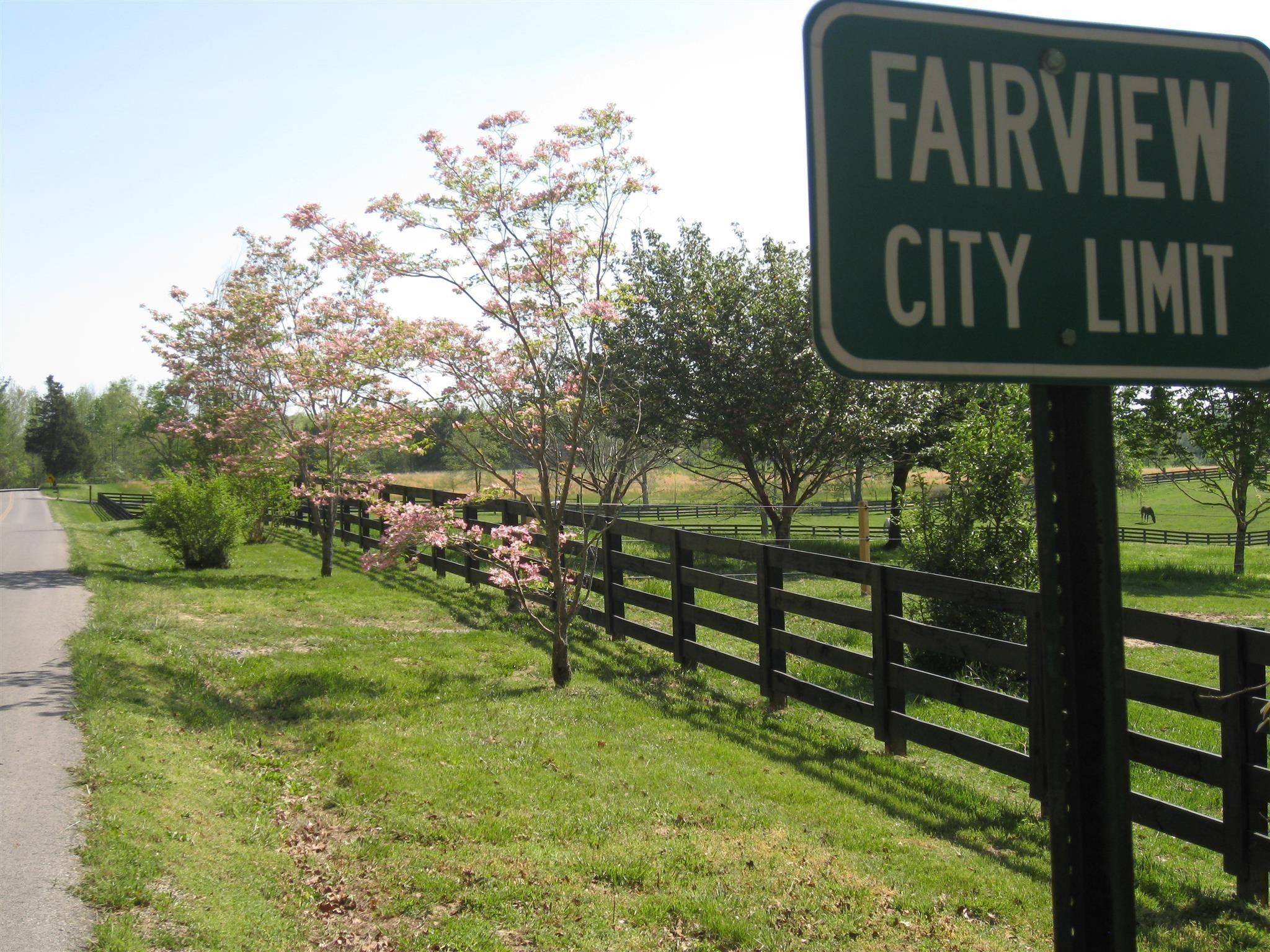 7194 Dice Lampley Road Fairview TN 37062