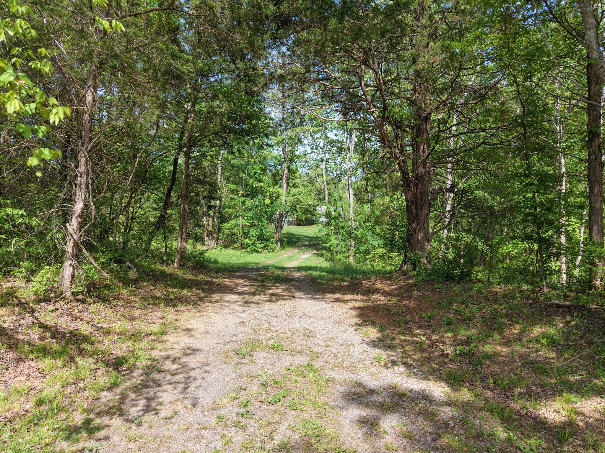 7194 Dice Lampley Road Fairview TN 37062