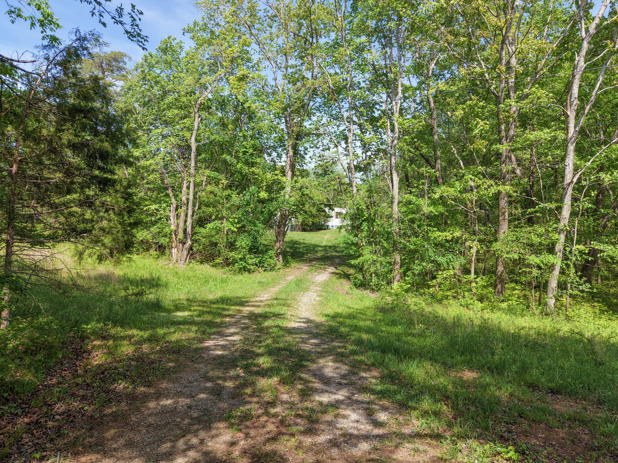 7194 Dice Lampley Road Fairview TN 37062